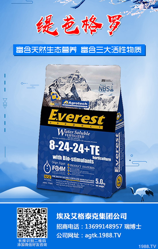 ����ʲô�r�g�������������緽��