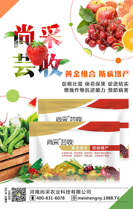 棗樹座果率低的原因是什么呢？棗樹如何提高座果率？