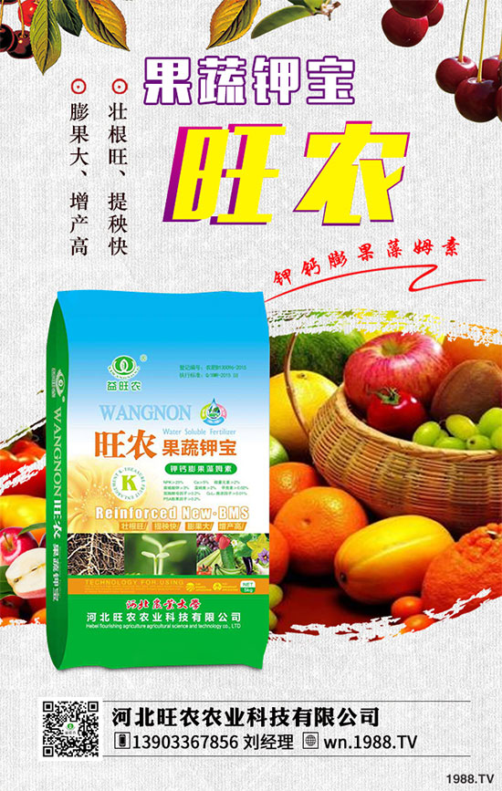 2019��8��26�ս������؃r(ji��)��������?q��ng)?b��o)����������I(y��)���S�����r(ji��)һ�[