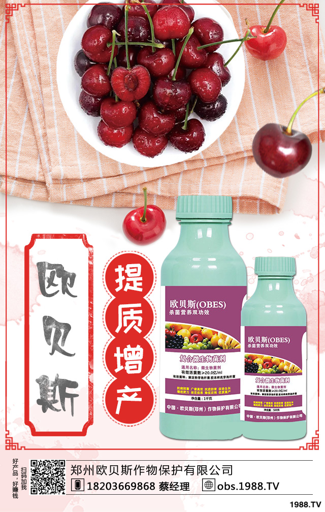 ��������ηNֲ������������༼�g(sh��)