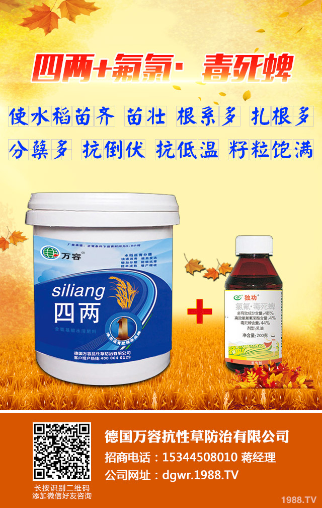 ��������݄�������Щ����������݄���B