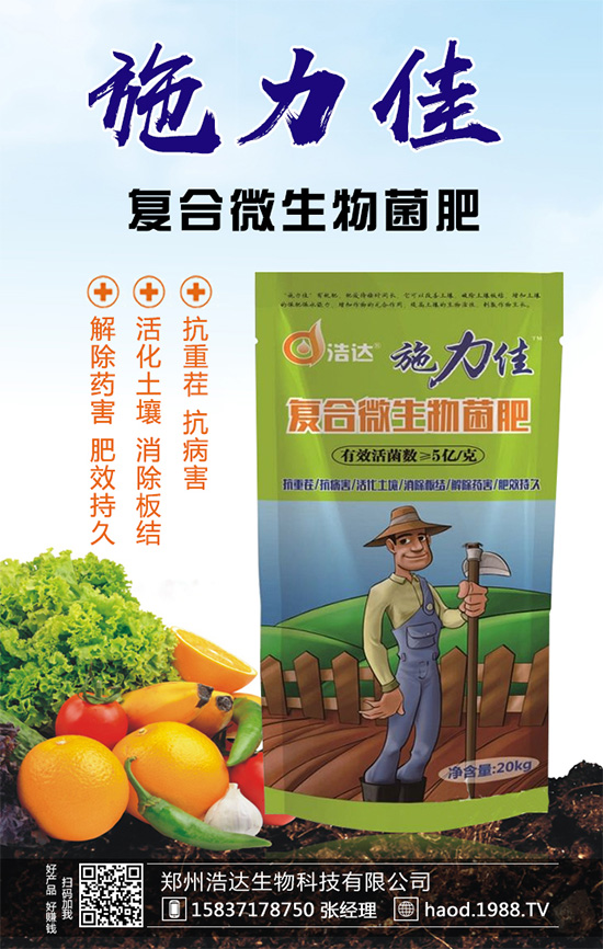 魔芋種植如何實(shí)現(xiàn)高產(chǎn)？魔芋高產(chǎn)栽培管理要點(diǎn)