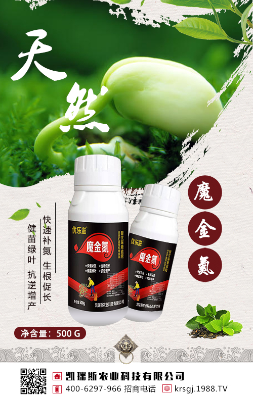 ���@��׷�����󶹸߮a(ch��n)����