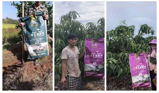 ��΢�������+�ЙC(j��)�ʡ�Ч��ţ����ʩһ������飬ʡ���ָ߮a(ch��n)��