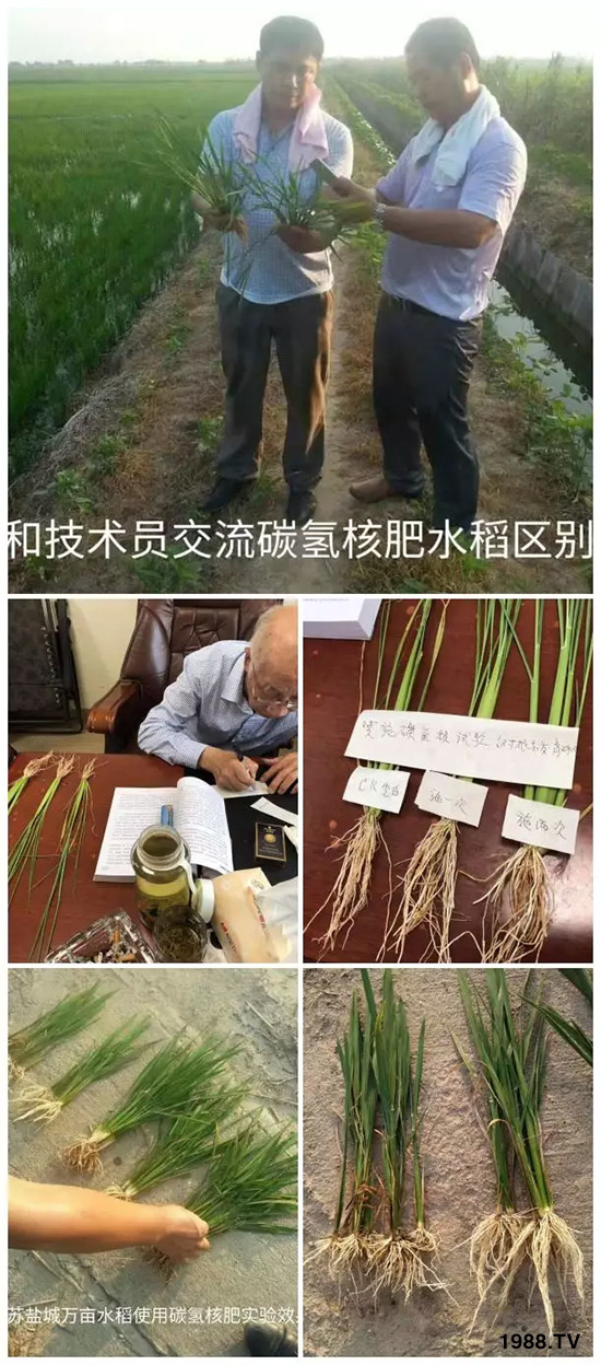 上百家媒體報道,打造超過歐盟食品標(biāo)準(zhǔn)作物!碳?xì)浜朔示褪沁@么火爆!