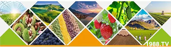 “化肥零增長”高壓下，新型肥料迅速崛起，作物科學(xué)增長空間巨大！