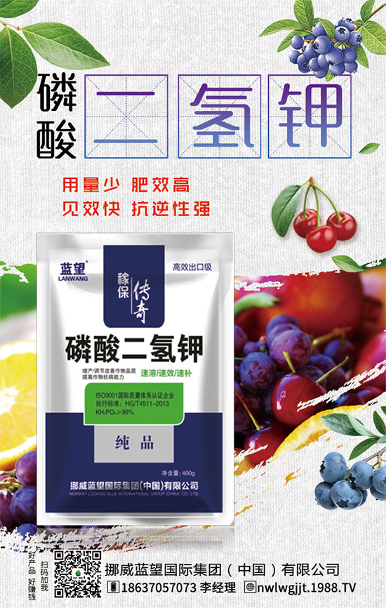 ������t����ֲע�����(xi��ng)��������t������ڹ�������