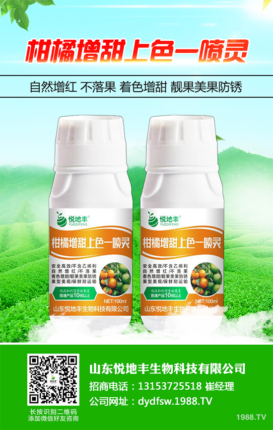 西蘭花該怎么種植？西蘭花高產(chǎn)種植技術(shù)要點(diǎn)