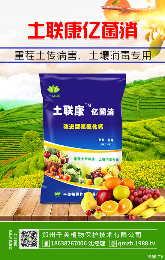     秋季大棚辣椒如何管理？秋季溫室辣椒定植管理技術(shù)！