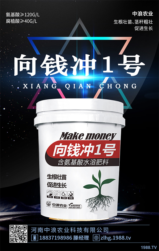 芥菜什么時候種植效益更好？芥菜高產(chǎn)種植技術(shù)要點(diǎn)