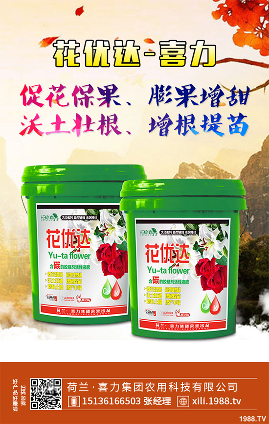 芥菜種植需要注意什么？芥菜高效種植技術及管理事項