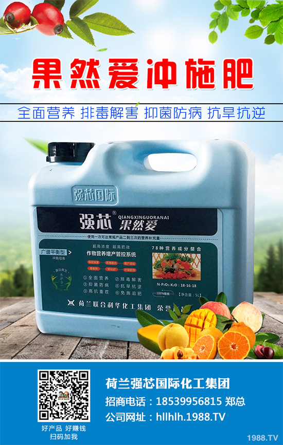 芥菜種植需要注意什么？芥菜高效種植技術及管理事項