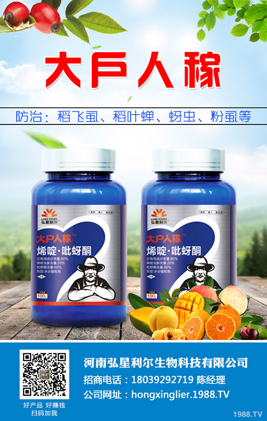 萬年青黃葉怎么辦，萬年青黃葉原因及防治措施！