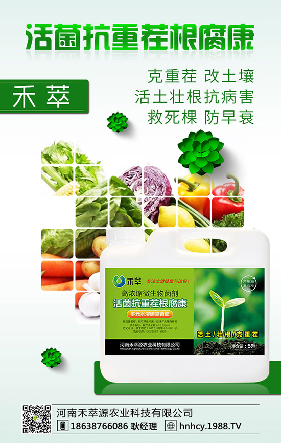 三角梅怎么嫁接？三角梅嫁接方法！