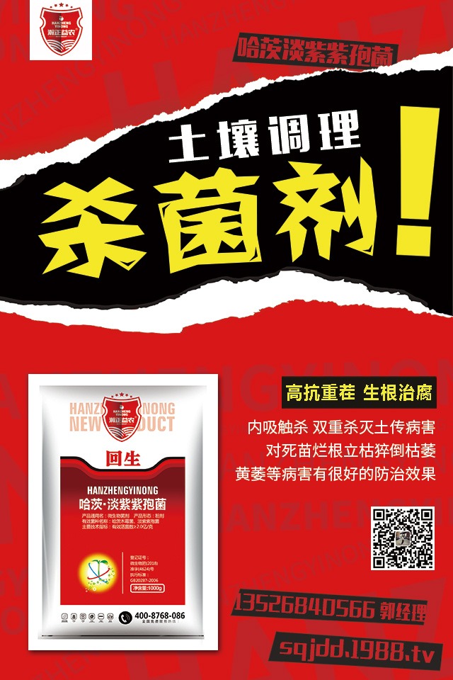 茄子土傳病害怎么辦？茄子嫁接可避免土傳病害