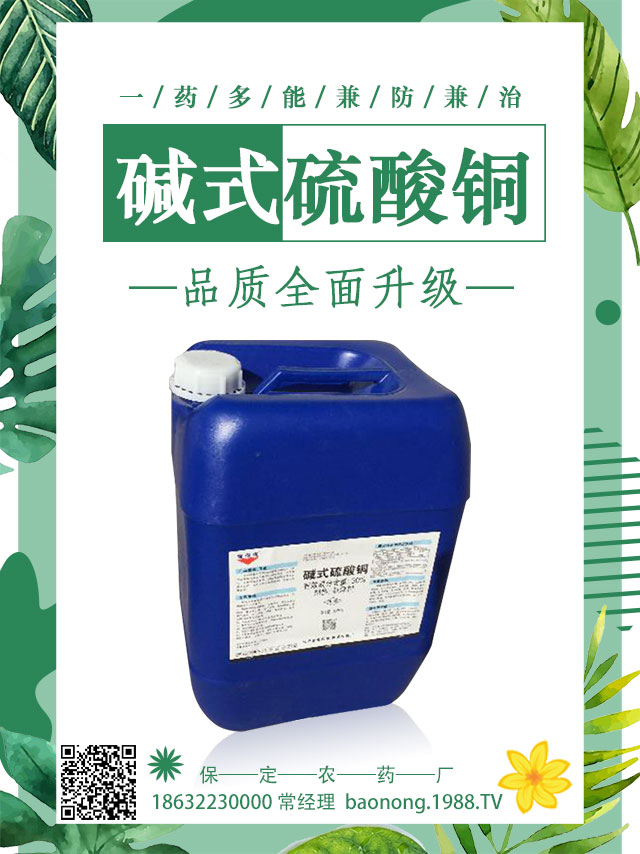 茄子土傳病害怎么辦？茄子嫁接可避免土傳病害