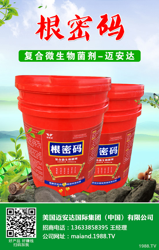 西葫蘆什么時候種植？西葫蘆種植技術(shù)！