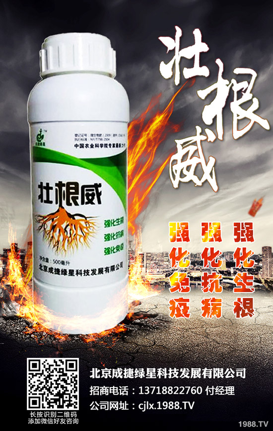 青椒的種植方法有哪些？青椒種植過程中需要注意的幾大問題