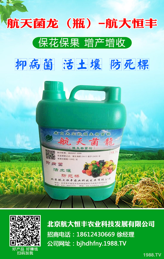 青蘿卜什么時候種植，青蘿卜栽培要點！