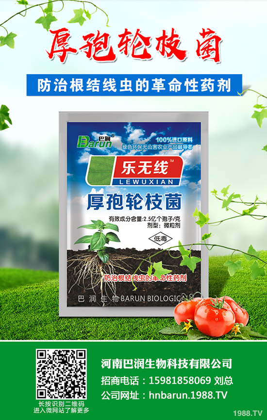 ��֦���~��ô�޼�����֦���~�޼�������