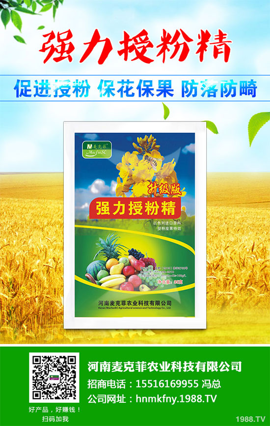 芥菜有哪些營養(yǎng)價值？吃芥菜有哪些好處？芥菜的功效與作用