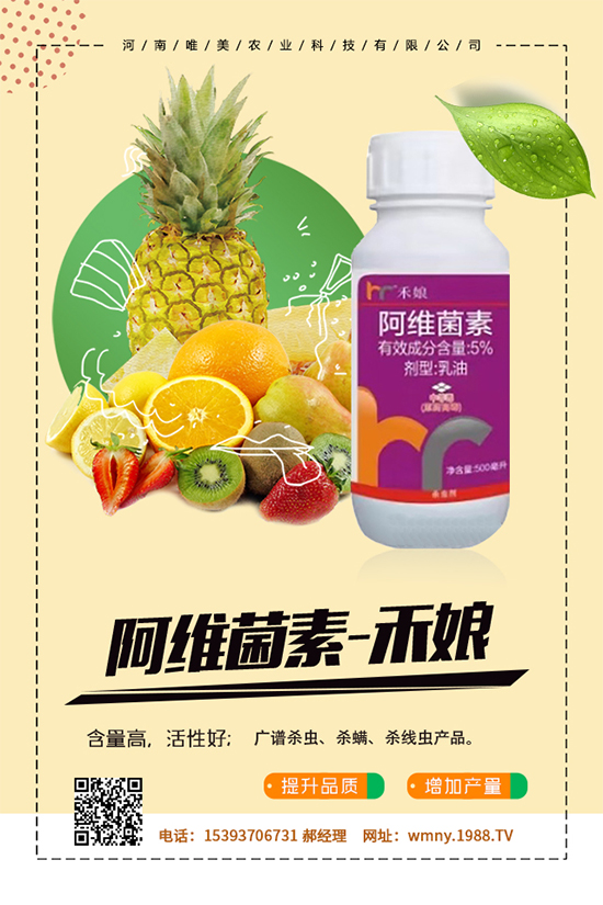 秋葵怎么種植？秋葵的種植技術