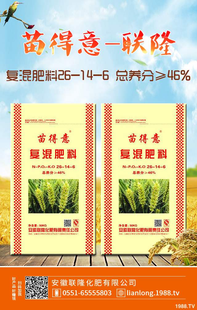 С����ô����Ч������С�����������g����