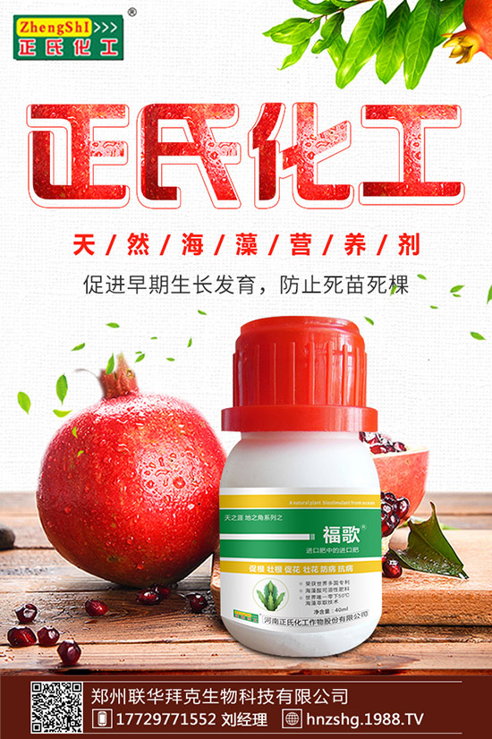 ���y����ʲô���������y���Ĺ�Ч�cʳ�ý�����