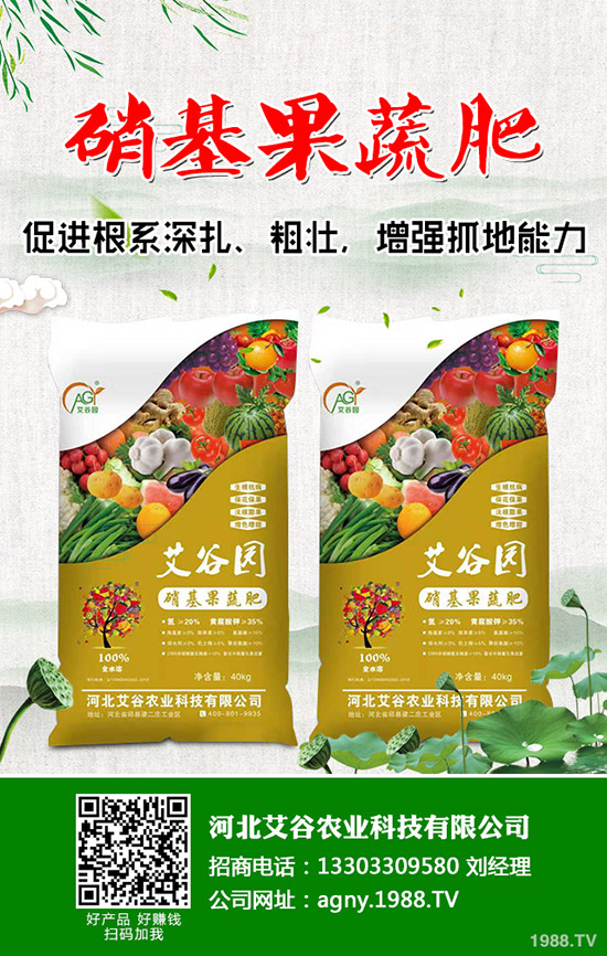 花椰菜與西蘭花的營養(yǎng)價(jià)值有什么不同，花椰菜西蘭花的區(qū)別有哪些？