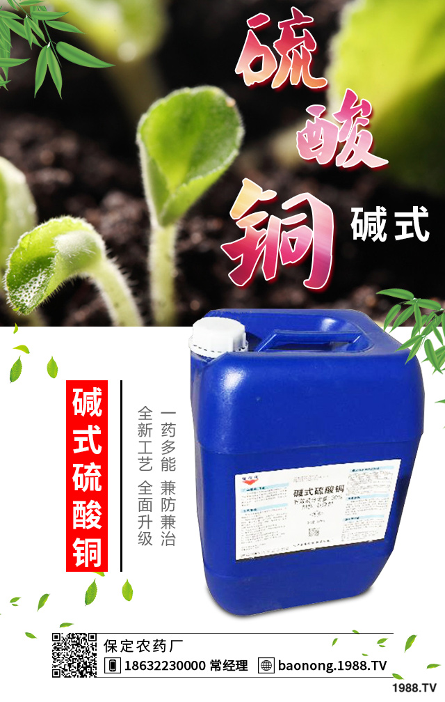 白菜軟腐病怎么辦？白菜軟腐病防治技術(shù)