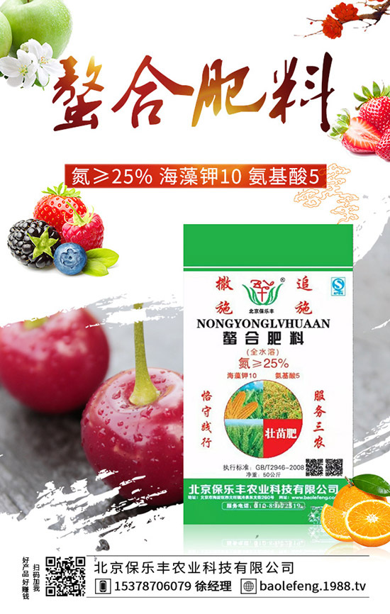 ���t����δ��~�����t�����~���ɼ�ע�����