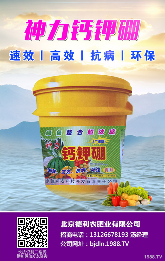 茄子怎么播種?茄子的高產(chǎn)種植方法!