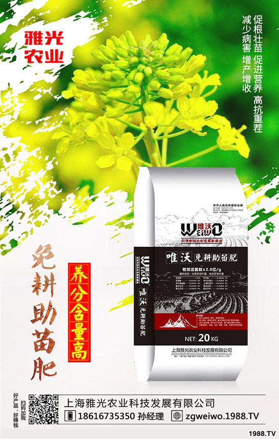 紫薯有哪些營養(yǎng)價(jià)值，紫薯與紅薯相比哪個(gè)更有營養(yǎng)？
