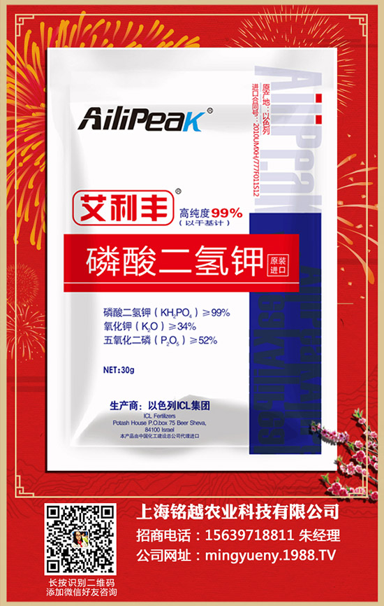 紫薯如何種植，紫薯種植方法和注意事項(xiàng)！