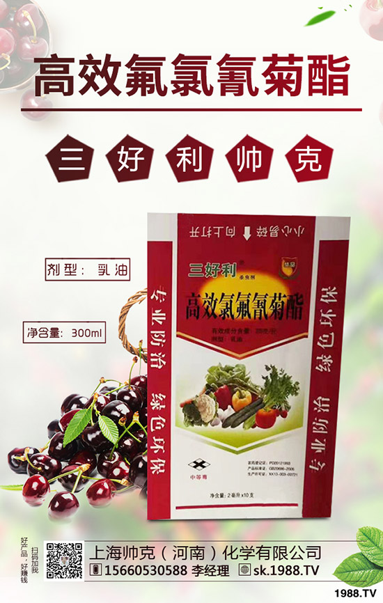 辣木樹的種植前景如何，如何種植辣木樹？