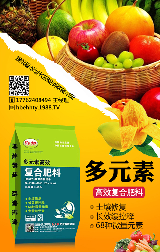 黃皮火龍果怎么種植？黃皮火龍果的種植技術(shù)！