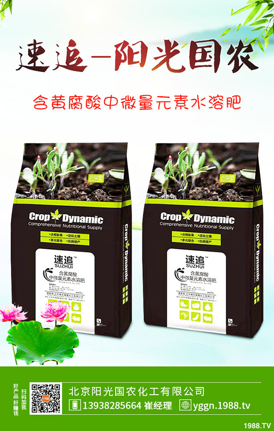     國慶將至！磷酸二銨價格是否影響？最新二銨行情分析2019-9-241-(238)