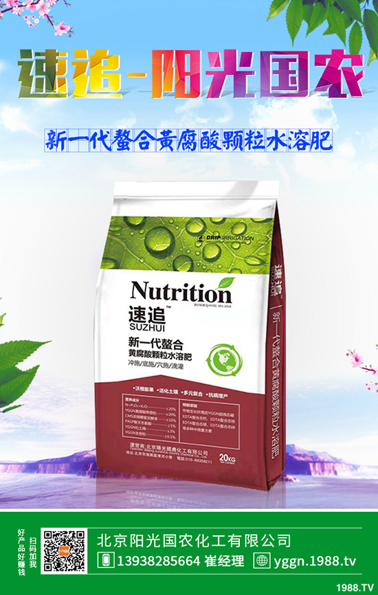     2019��9��24�ս�������һ�@�Ј��r(ji��)�������Ո�(b��o)