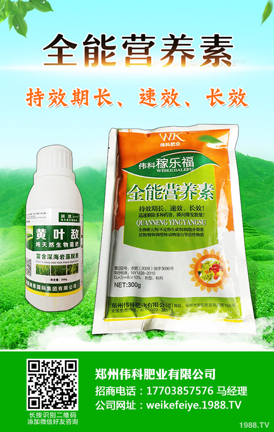 柿子樹怎么嫁接,柿子樹嫁接時(shí)間和方法!