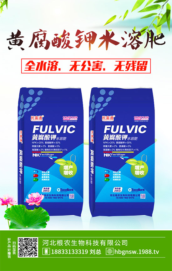 ����ԓ��ô��������ĠI�B(y��ng)�Է���ע�����(xi��ng)