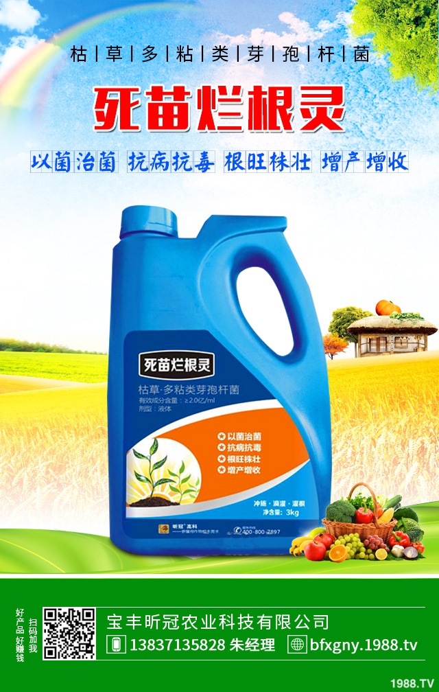 芹菜黑心腐爛怎么防治？芹菜黑心腐爛要對癥防治