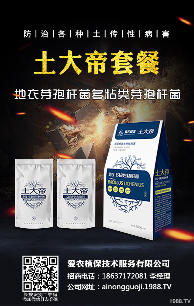 �ﲥС����ô����|(zh��)�����ﲥС������|(zh��)����Ҫ�c