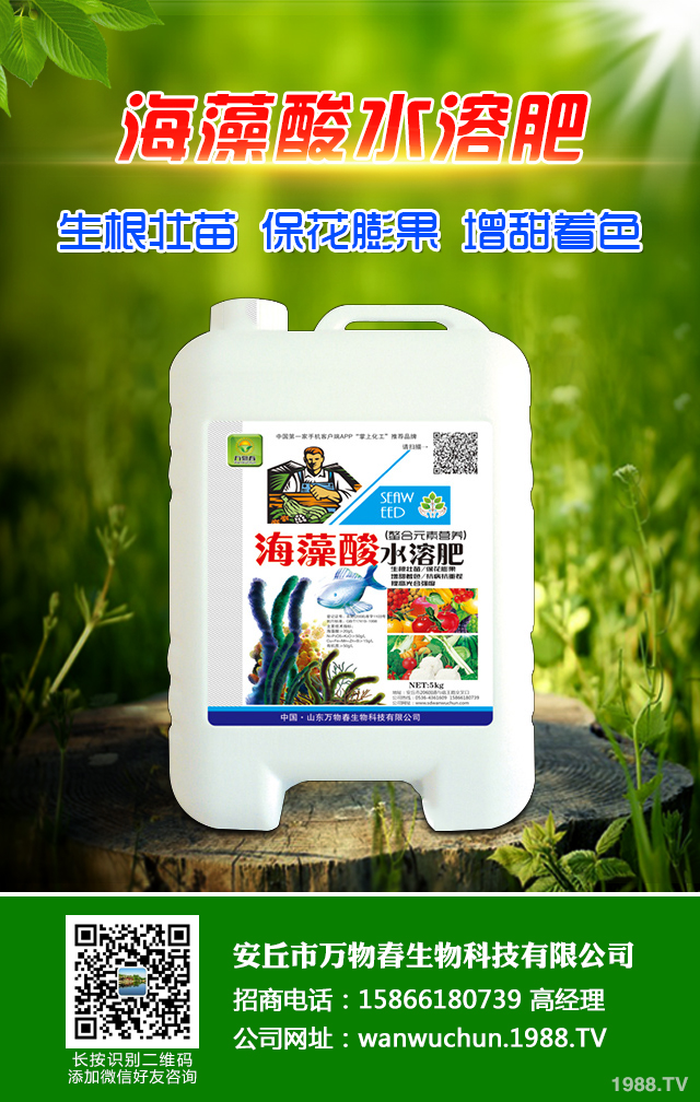 �ﲥС����ô����|(zh��)�����ﲥС������|(zh��)����Ҫ�c