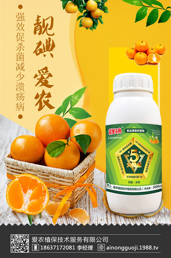 西蘭花如何種植？西蘭花種植時間及方法！