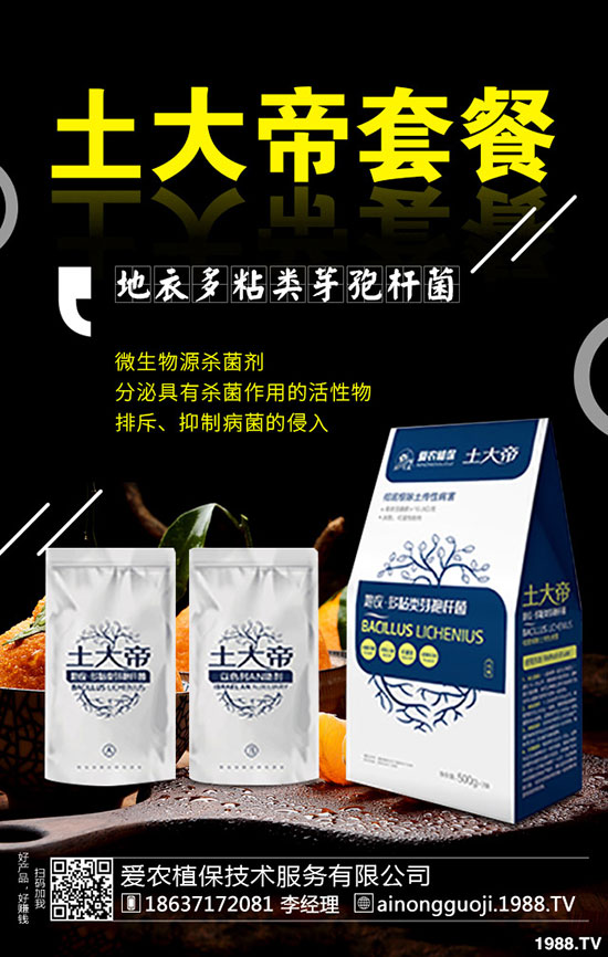 ���·ݿ��ԷNʲô�߲���2019��9���߲˷Nֲָ��!