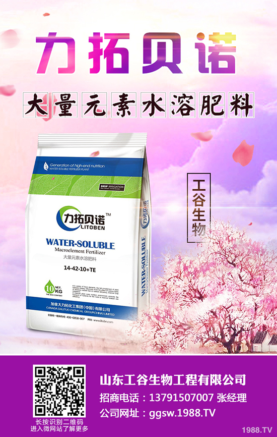 �ﶬ��С�Ͳ���ηNֲ���ﶬ��С�Ͳ˷Nֲ���g(sh��)�����g����������