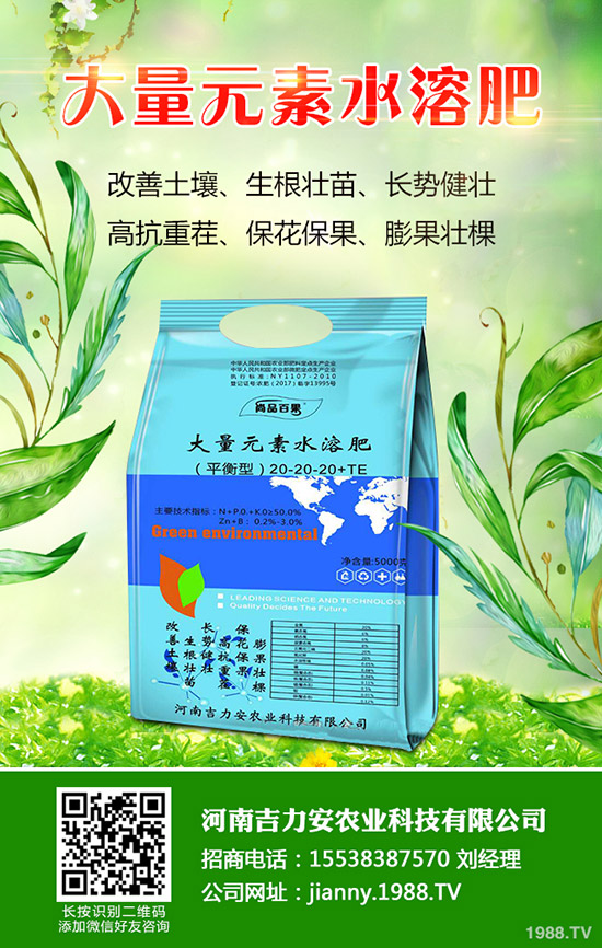 天麻什么時候種，天麻種植管理技巧