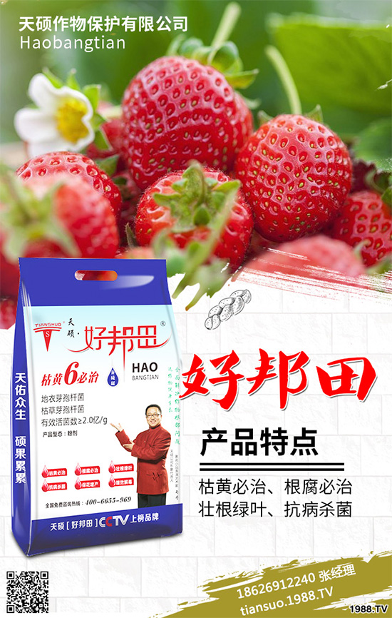 �n��˪ù��Σ���@ô������֪��ԓ��η��Ά᣿�n��˪ù�����η���