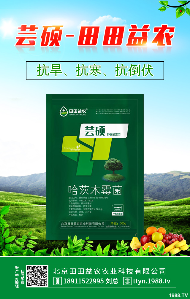 ����������η������������ٷ�������