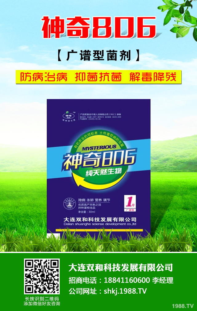 如何防治核桃常見病蟲害？核桃常見病蟲害防治技巧